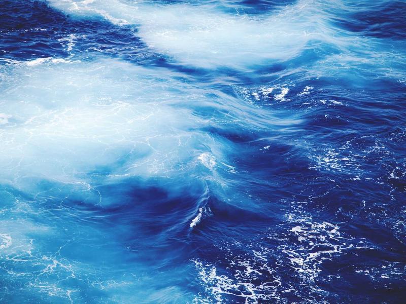 Tech Startup Brand Identity