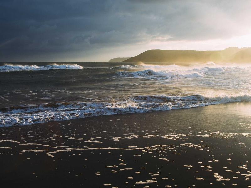 Logistics Management Platform